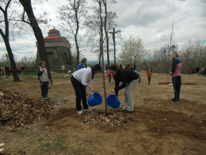 Výsadba stromů v Háji Malého Noe